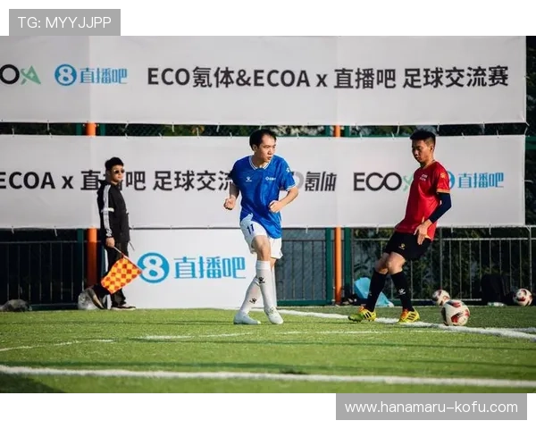 哈哈体育平台全面解析：如何选择最适合你的体育赛事直播平台