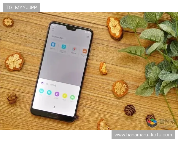 问鼎官网苹果注册流程优化建议，提升注册效率与用户体验